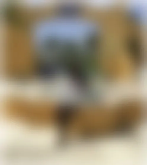 c***********9