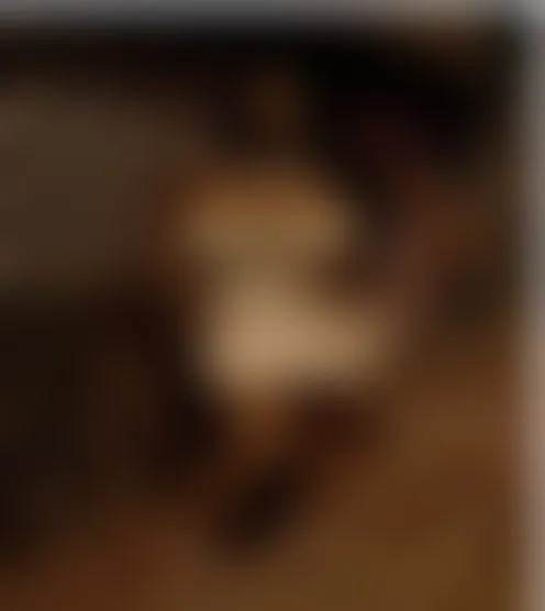 C*************e