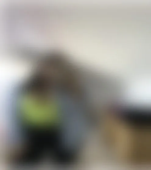 d*************t