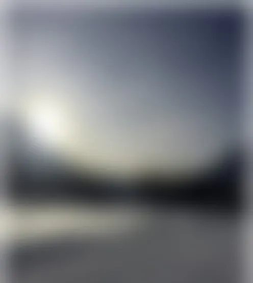 s********s