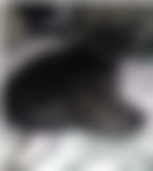 e****a