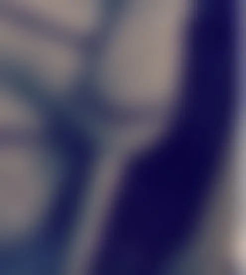 M***6