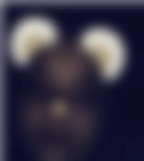 v****n