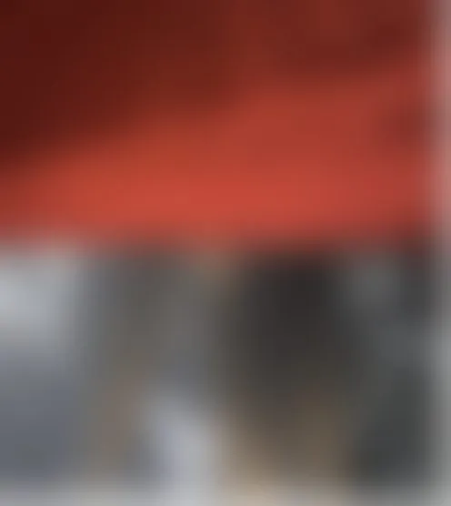 P***********n