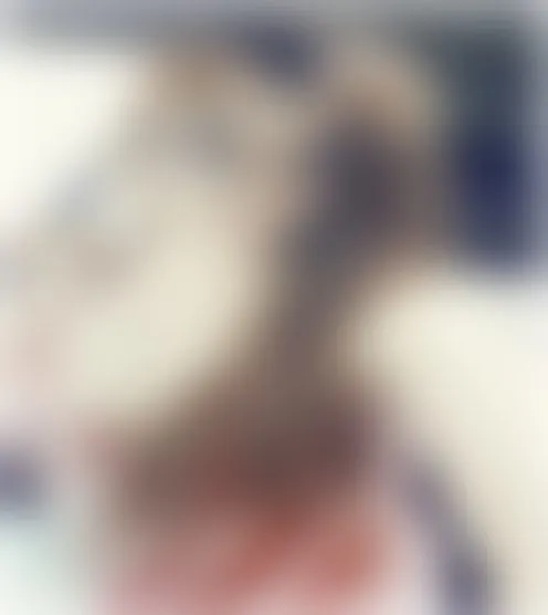c***********8