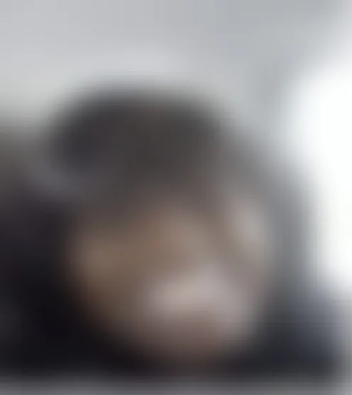 N***i