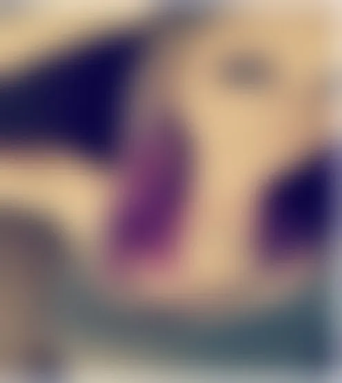 c*****y