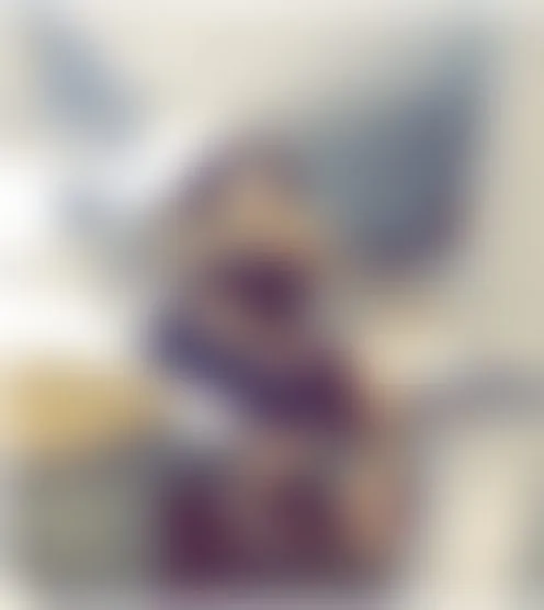 s****a