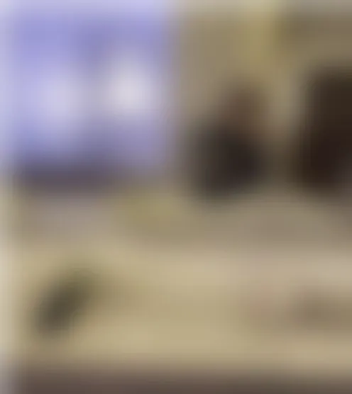 e******n