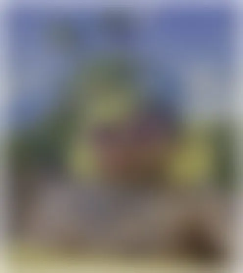 s****a