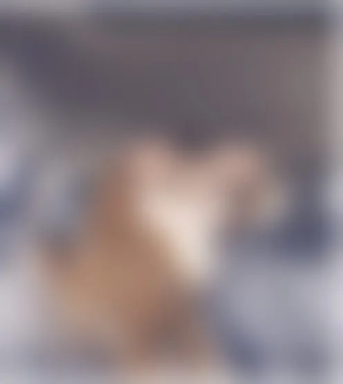 M******2
