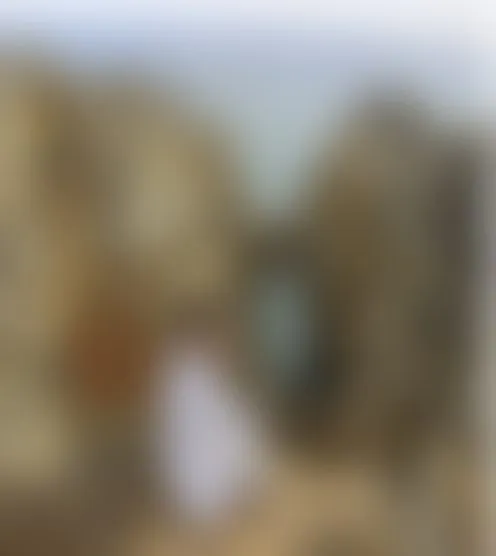 A***a