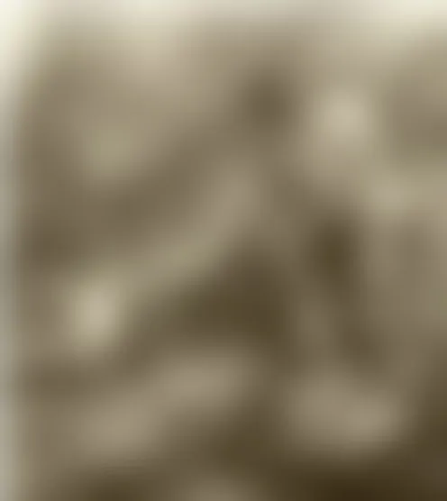 N*********a
