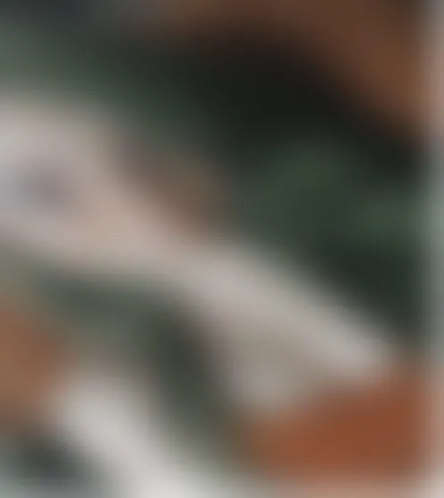 h*****r