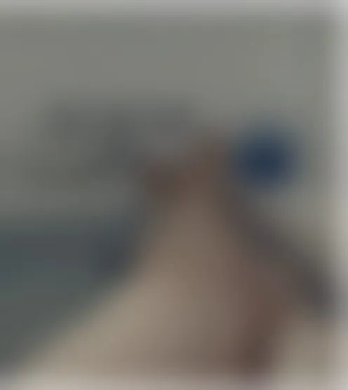 u**********4