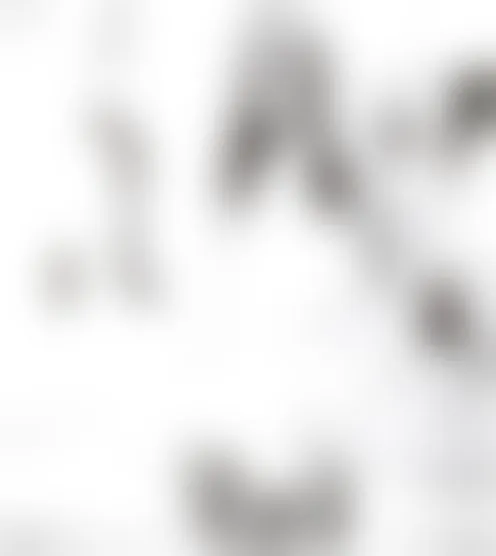 j********3