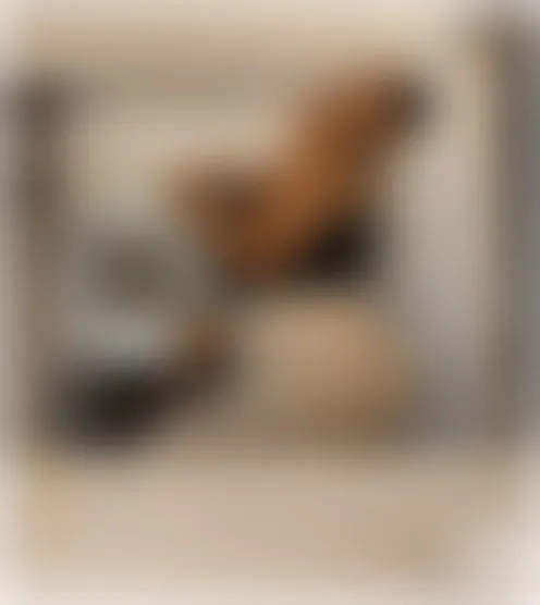 l***y