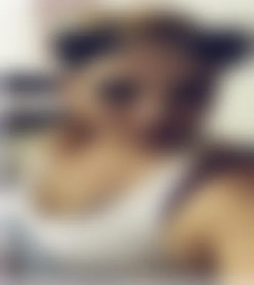 j******3