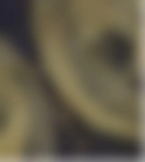 W********n