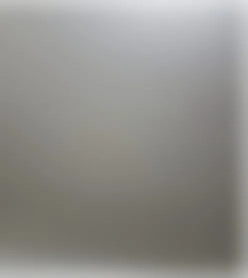 S****n