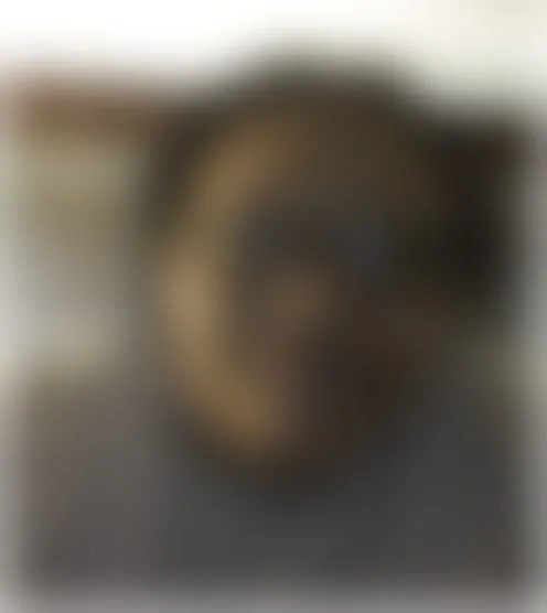 S************e