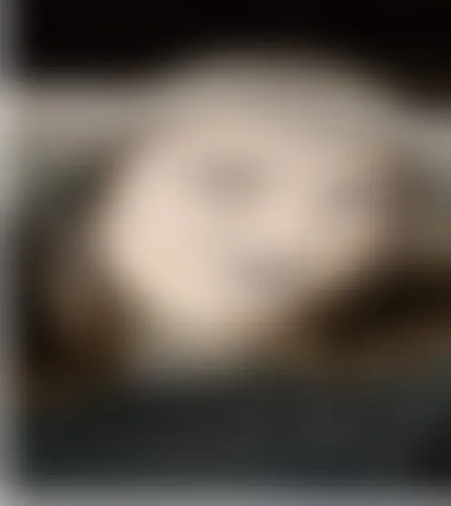 S****a
