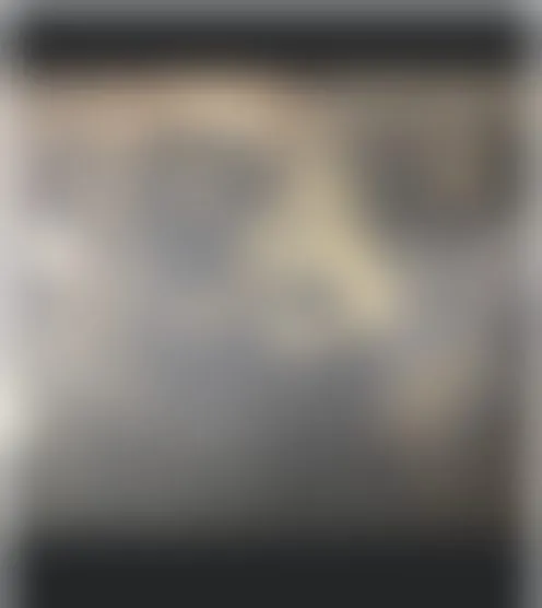 a****u