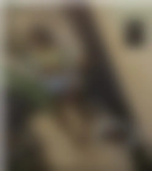j********0