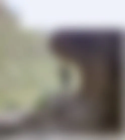 R****v