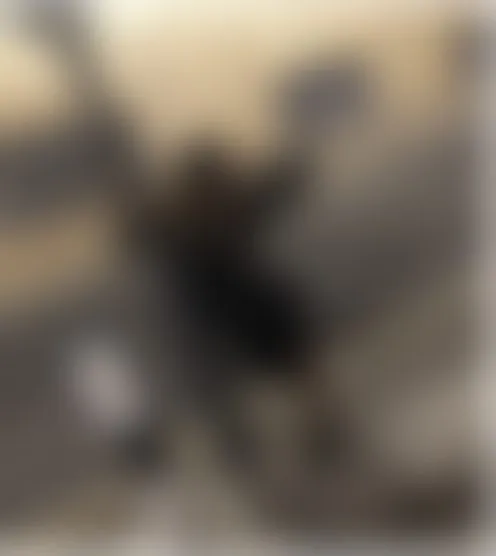 s********1