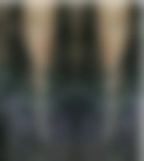 l*v