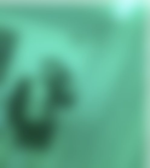 h***********y