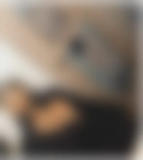 c***********e