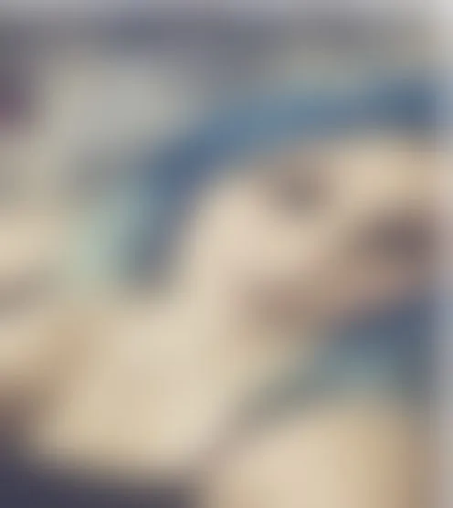 k***********y
