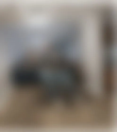 p**********a
