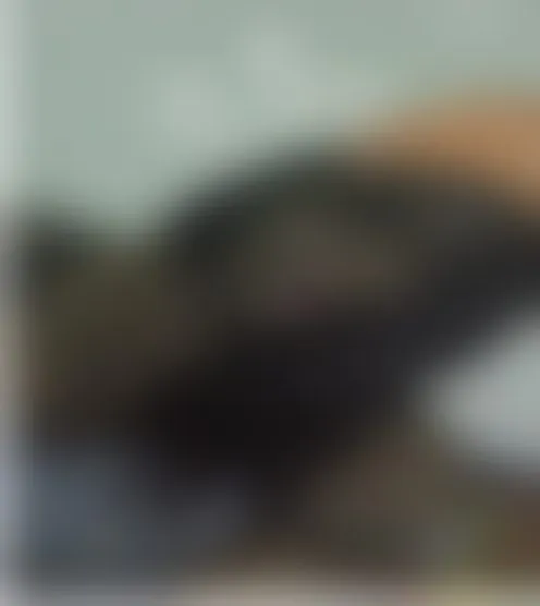 L***********6