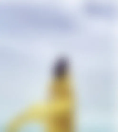j******4