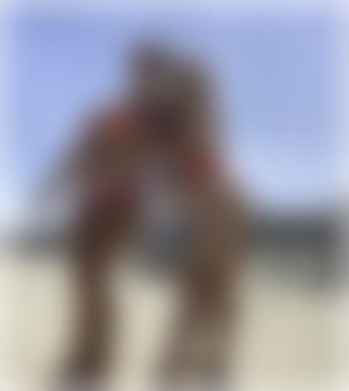 O******s