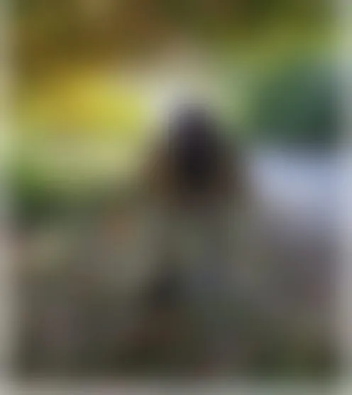 m****4