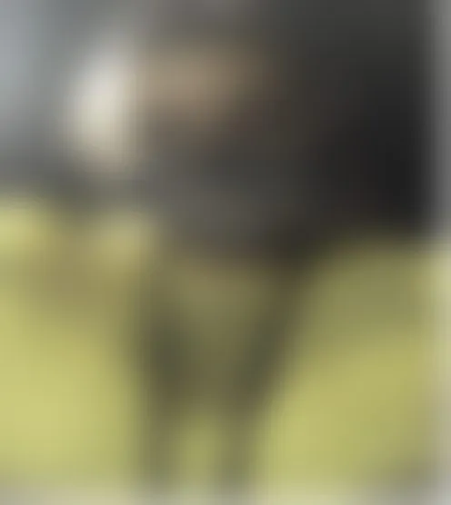 p******i