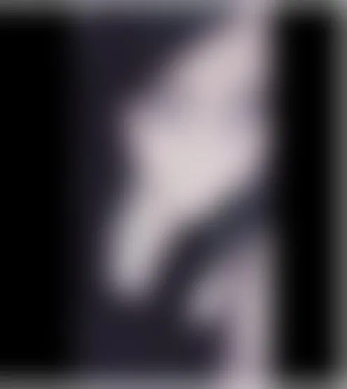 s**********6