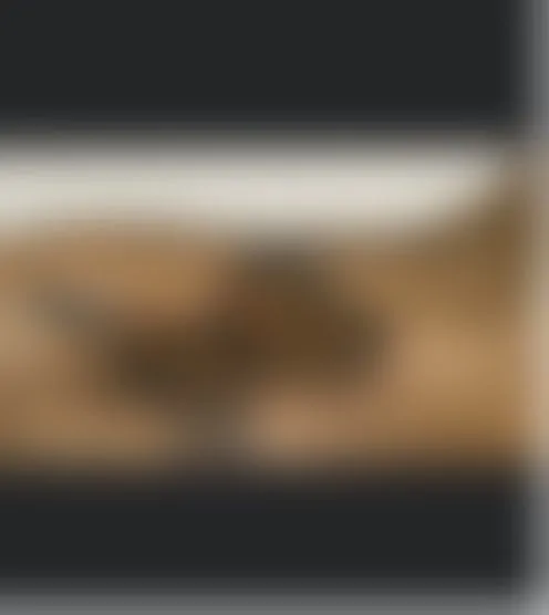 Y******e
