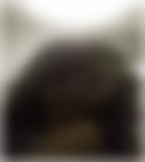 S**********0