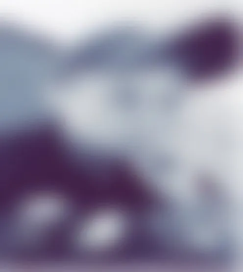 c******r