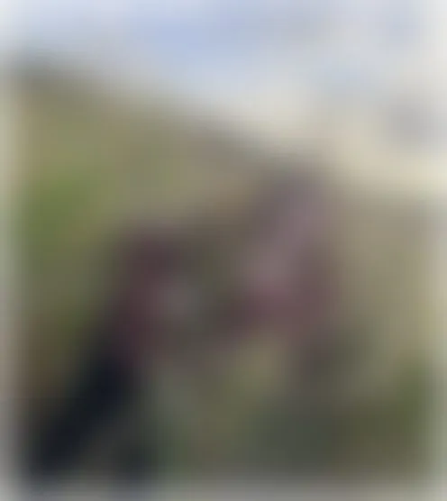 8********e