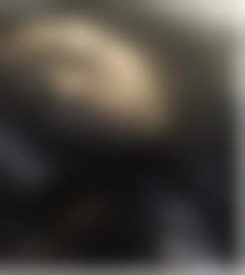 S********n