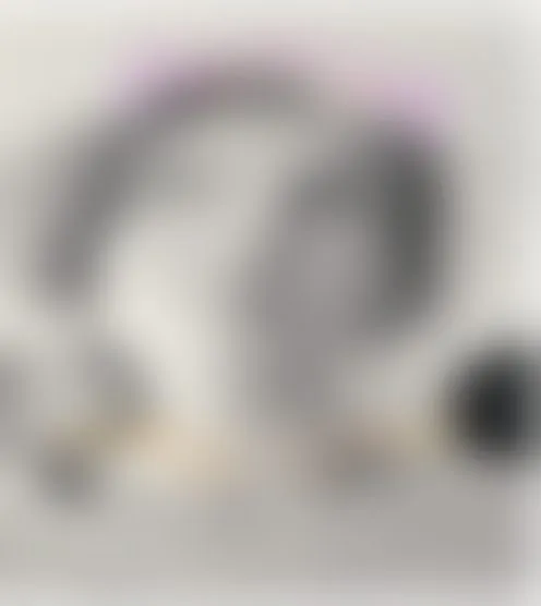 N********1