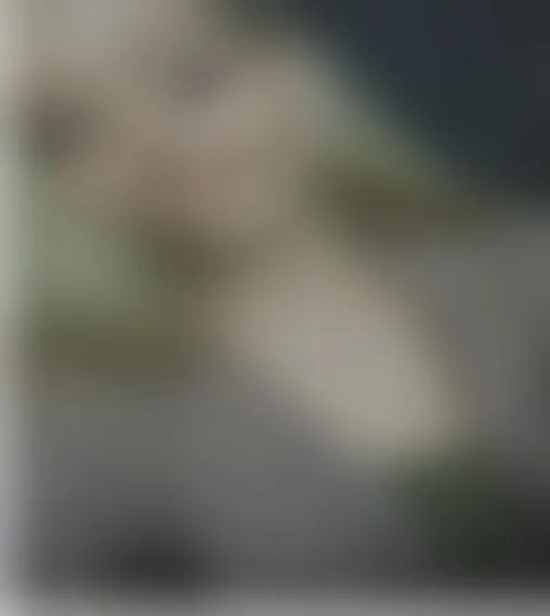 M*******z