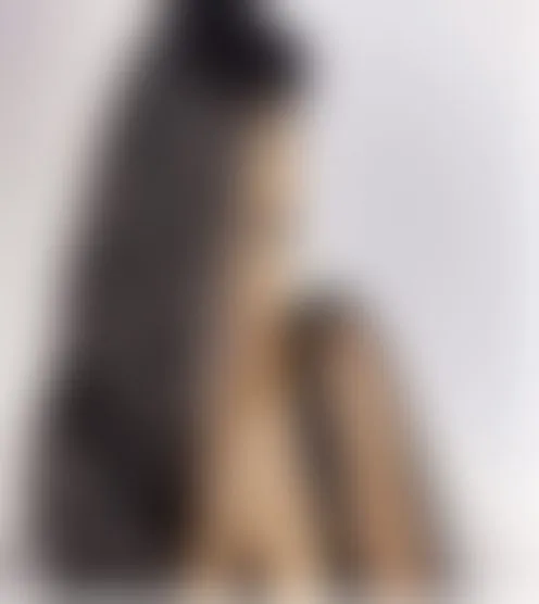 t*****g