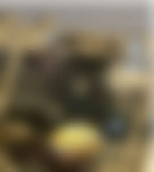 b*o